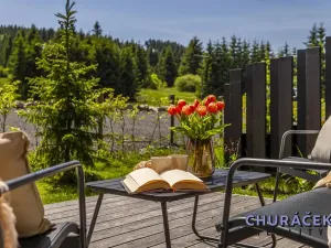 Prodej bytu 2+kk, Abertamy, Plešivecká, 43 m2