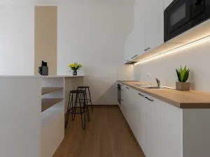 Pronájem bytu 1+kk, Brno, Poštovská, 46 m2