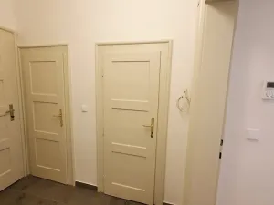 Pronájem bytu 1+kk, Praha - Vinohrady, Slezská, 26 m2