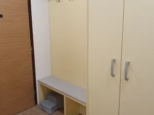 Pronájem bytu 1+1, Liberec, Borový vrch, 39 m2