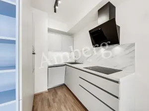 Pronájem bytu 2+kk, Praha - Karlín, U Mlýnského kanálu, 56 m2
