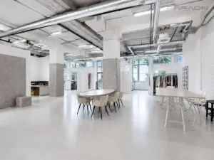 Pronájem obchodního prostoru, Praha - Nusle, Bartoškova, 365 m2
