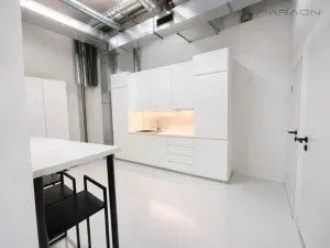 Pronájem obchodního prostoru, Praha - Nusle, Bartoškova, 365 m2