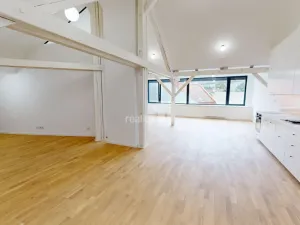 Pronájem bytu 2+kk, Pelhřimov, Tylova, 151 m2