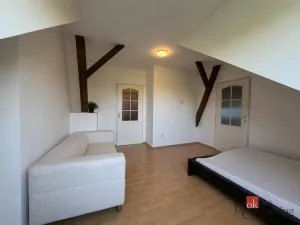Prodej bytu 1+1, Plzeň - Východní Předměstí, Francouzská třída, 39 m2