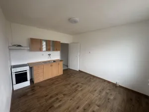 Pronájem bytu 1+kk, Bílina - Teplické Předměstí, Sídliště Za Chlumem, 19 m2