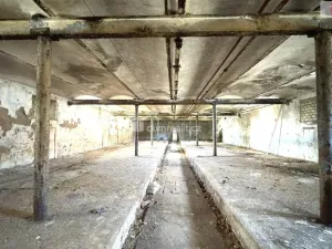 Prodej výrobních prostor, Lanžhot, Nová, 2636 m2