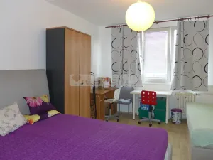 Prodej bytu 1+1, Plzeň - Severní Předměstí, Sokolovská, 40 m2