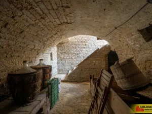 Prodej rodinného domu, Hrušovany nad Jevišovkou, 90 m2