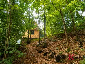 Prodej chaty, Hromnice - Planá, 58 m2