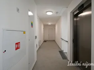 Pronájem bytu 1+kk, Brno, U zoologické zahrady, 37 m2