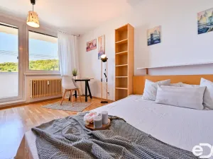 Pronájem bytu 1+1, Brno, Vychodilova, 42 m2