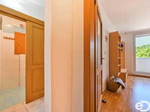 Pronájem bytu 1+1, Brno, Vychodilova, 42 m2