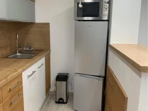 Pronájem bytu 2+kk, České Budějovice, Boršovská, 52 m2