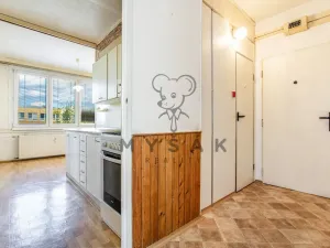 Prodej bytu 2+1, České Budějovice - České Budějovice 2, Emy Destinové, 61 m2