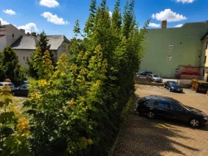 Pronájem bytu 3+1, Jihlava, Palackého, 75 m2