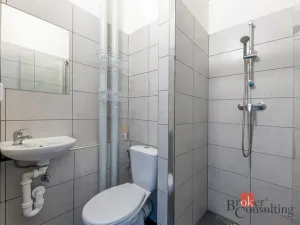 Prodej bytu 1+kk, Příbram - Příbram I, Riegrova, 23 m2