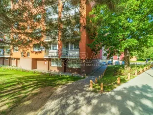Pronájem bytu 2+1, Kralupy nad Vltavou, sídl. Hůrka, 58 m2