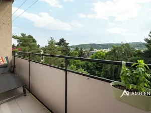 Prodej bytu 3+1, Brno, Bohuslava Martinů, 69 m2