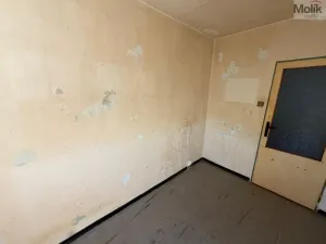 Prodej bytu 2+kk, Most, Růžová, 41 m2