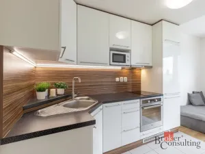 Prodej bytu 1+kk, Brno - Starý Lískovec, U Leskavy, 43 m2