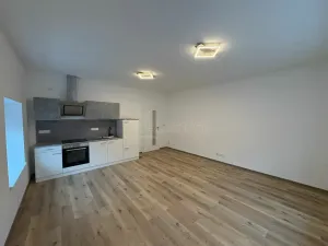 Pronájem bytu 1+kk, Doloplazy, 46 m2