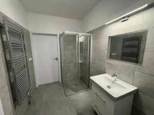 Pronájem bytu 1+kk, Doloplazy, 46 m2