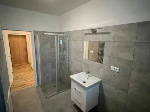 Pronájem bytu 1+kk, Doloplazy, 46 m2