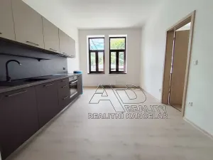Pronájem atypického bytu, České Budějovice, Fráni Šrámka, 65 m2