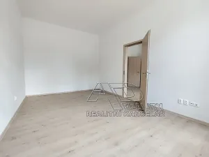 Pronájem atypického bytu, České Budějovice, Fráni Šrámka, 65 m2