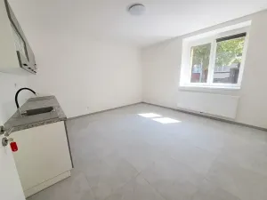 Pronájem bytu 1+1, Plzeň, Mánesova, 45 m2
