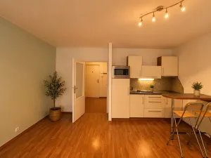 Prodej bytu 1+kk, Brno, Blatnická, 31 m2