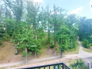 Pronájem bytu 2+kk, Cheb, Břehnická, 90 m2