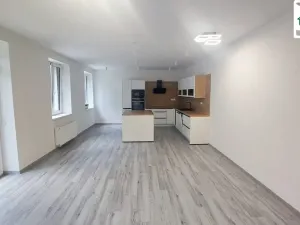 Pronájem bytu 3+kk, Cheb, Břehnická, 90 m2