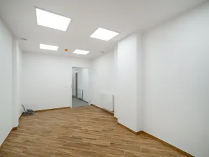 Pronájem restaurace, Praha - Žižkov, Olšanská, 352 m2