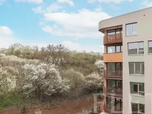 Pronájem bytu 1+kk, Praha - Radlice, U Komína, 39 m2