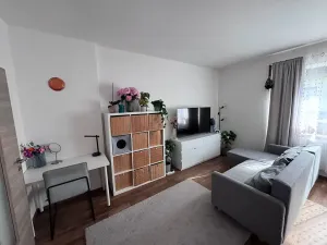Pronájem bytu 1+1, Jihlava, Hálkova, 39 m2