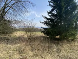 Prodej pozemku, Městečko Trnávka - Lázy, 384 m2