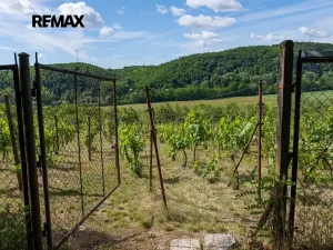 Prodej sadu/vinice, Moravské Bránice, 2403 m2