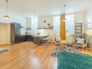 Pronájem bytu 1+kk, Praha - Vinohrady, Mánesova, 53 m2