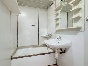 Prodej bytu 1+kk, Ostrava, Francouzská, 30 m2
