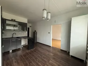 Pronájem bytu 2+1, Bílina - Teplické Předměstí, Sídliště Za Chlumem, 52 m2