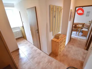 Prodej bytu 2+1, Ostrov, Luční, 64 m2
