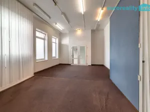Prodej vícegeneračního domu, Sokolov, U Divadla, 360 m2
