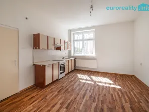 Prodej vícegeneračního domu, Sokolov, U Divadla, 360 m2