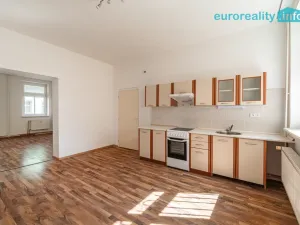 Prodej vícegeneračního domu, Sokolov, U Divadla, 360 m2