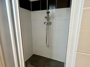 Pronájem bytu 1+1, Ostrava - Moravská Ostrava, Mánesova, 39 m2