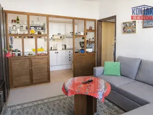 Pronájem bytu 2+kk, České Budějovice - České Budějovice 2, Netolická, 39 m2
