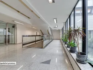 Pronájem kanceláře, Praha - Libeň, Sokolovská, 35 m2