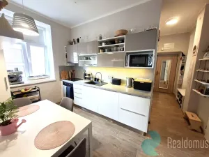 Pronájem bytu 1+1, České Budějovice, Komenského, 47 m2